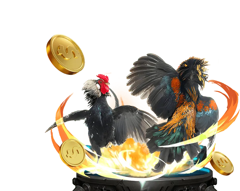 Đa dạng các trò chơi cá cược tại winbet win